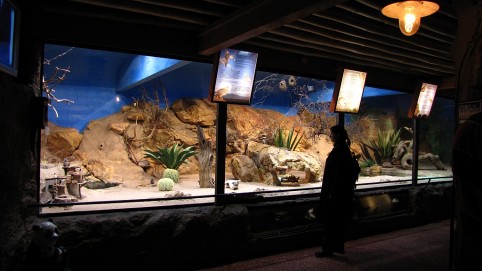 Pavilón s akváriami a opicami v Skansene