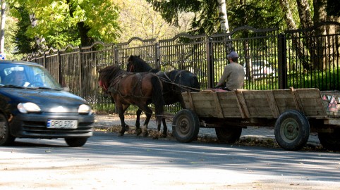 Kôň vs Auto - pri hrade Bran