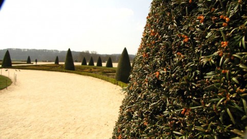 Park vo Versailles bol nádherny
