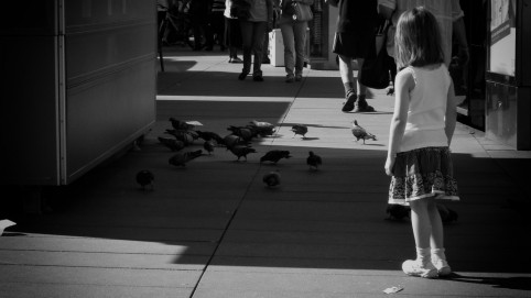 Dieťa a holuby